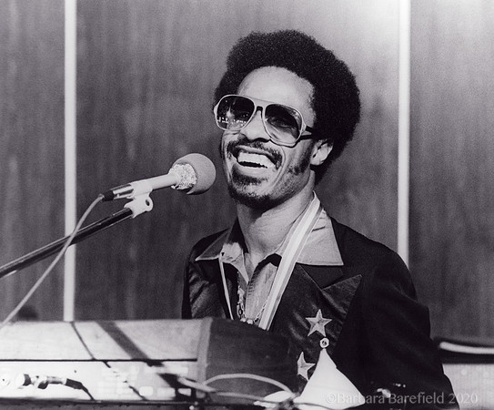 StevieWonder002-ArtPrize